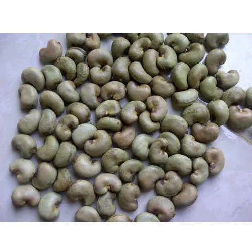 Raw Cashew Nut 2