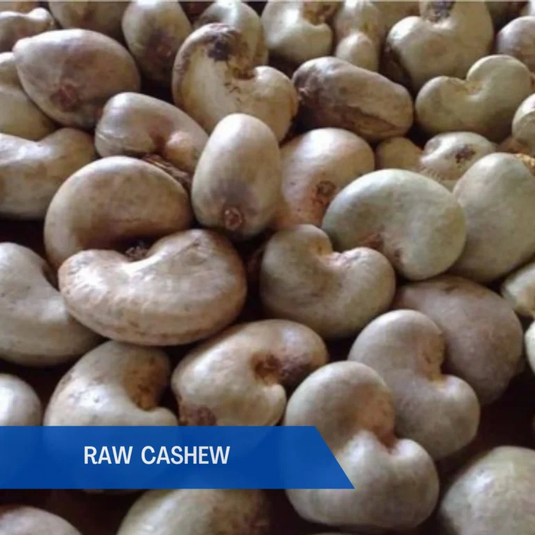 Raw Cashew Nut